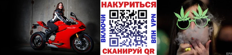 где можно купить наркотик  Циолковский  Бошки марихуана индика 